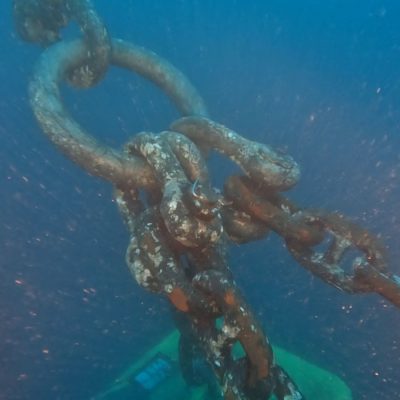 εικόνα_Viber_2026-04-07_11-09-30-647